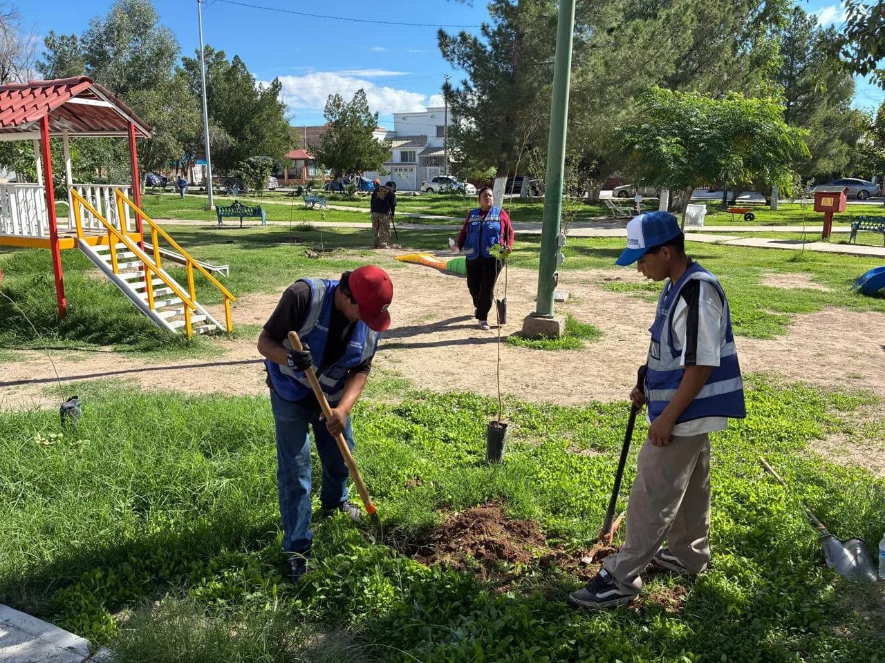 Arranca Gobierno del Estado jornada de reforestación en el Fraccionamiento Monumental.